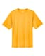 Sport Athletic Gold