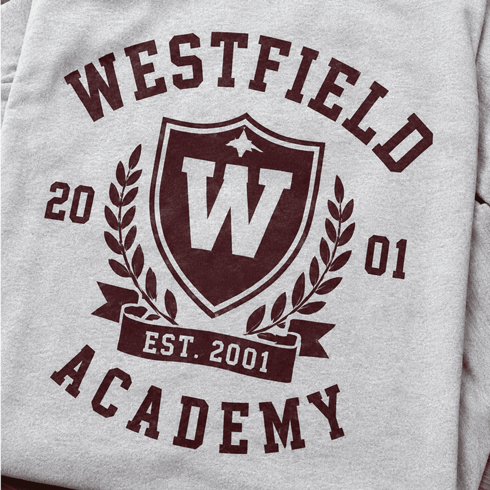 WESTFIELD ACADEMY custom screen printing project in New York